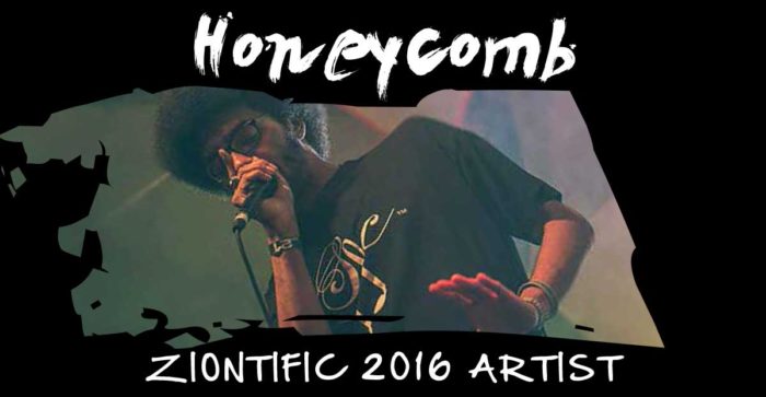 Ziontific Summer Solstice Music Festival 6 — Vermont —  Artist Honeycomb